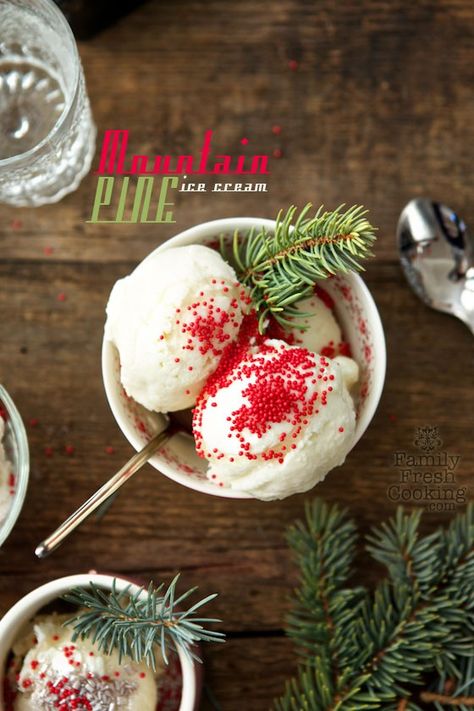 Mountain Pine Ice Cream: Taste the mountains with this gorgeous Pine infused ice cream. A great recipe for holiday parties! Pine Syrup, Frozen Things, Ice Cream Mixture, Frozen Dessert Recipe, Yummy Ice Cream, Homemade Ice Cream Recipes, Cold Treats, Cold Desserts, Sweet Escape