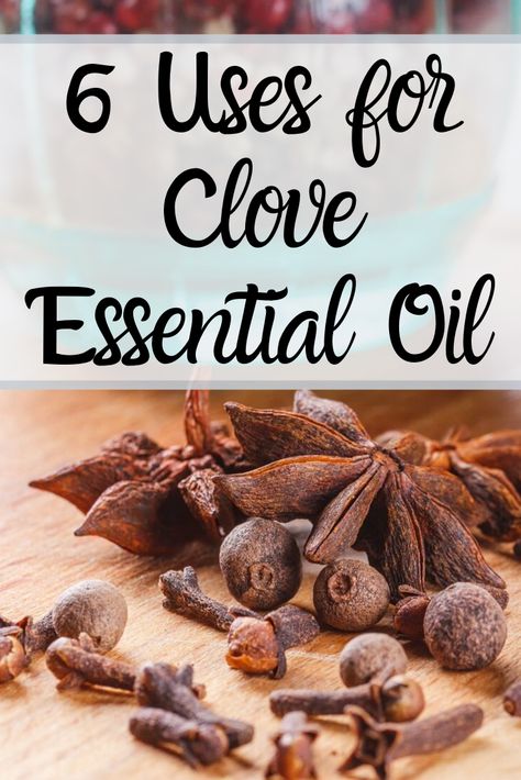 6 Uses for Clove Essential Oil Clove Essential Oil Uses, Uses For Cloves, Clove Oil Uses, Vegetarian Meal Plan, Clove Essential Oil, Ginger Bread Cookies Recipe, Cinnamon Essential Oil, Holiday Favorite Recipes, Clove Oil