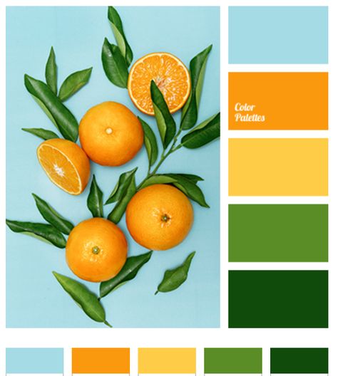 Orange, Tropical, Color Palette, Green, Blue, Yellow, Bright, Summer, Spring Yellow Palette, Orange Color Palettes, Color Palette Yellow, Spring Color Palette, Color Schemes Colour Palettes, Green Palette, Summer Color Palette, Color Palette Bright, Brand Color Palette