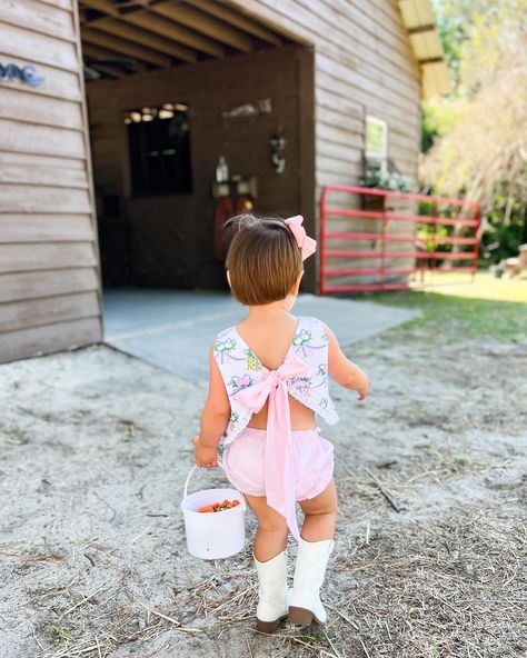 Pink Gingham Birthday Party, Farm Second Birthday, Pink Farm Birthday Party, Pink Farm Birthday, Gingham Party, Girly Birthday Party, Gingham Tablecloth, Farm Pictures, Second Birthday Party