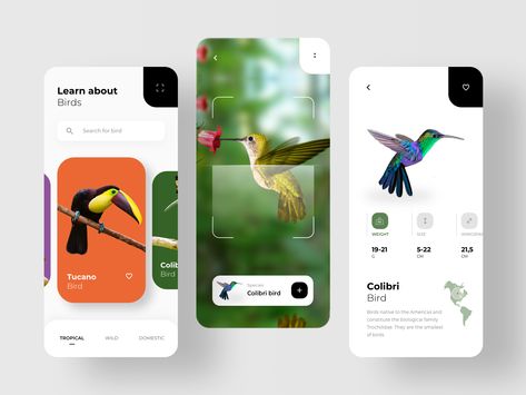 Bird Search & AR Scan by RonDesignLab Product Proposal, Scan App, Ui Design Mobile, Bird App, App Interface Design, App Design Inspiration, Mobile App Ui, App Interface, Light Camera