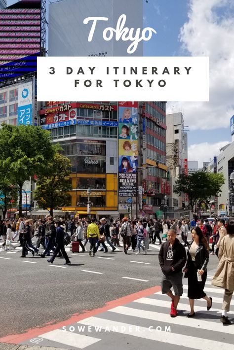 Check out our 3 day itinerary for seeing the major highlights of Tokyo. Japan Travel Destinations, Tokyo Japan Travel, Japan Itinerary, Japan Travel Tips, Solo Trip, Japan Travel Guide, Travel Destinations Asia, Asia Travel Guide, Tokyo Travel