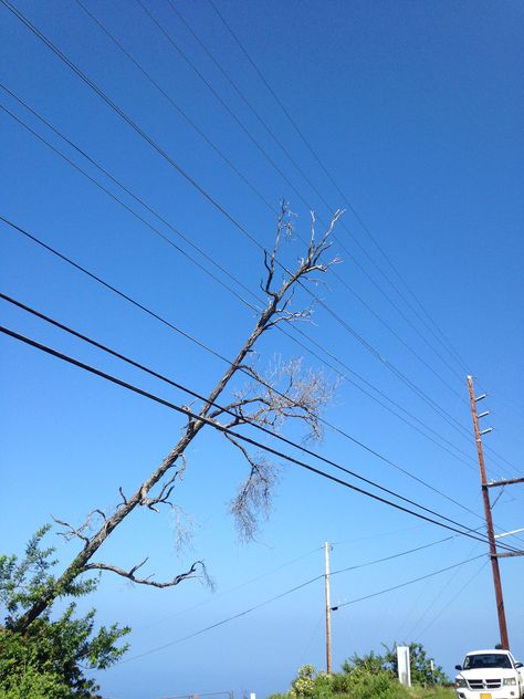 Trees and other vegetation caught in overhead power lines are dangerous and can cause widespread outages. Please keep these and other items at least 10' away. Overhead Power Line, Power Lines, Electric Power, Utility Pole, Electricity, Trees