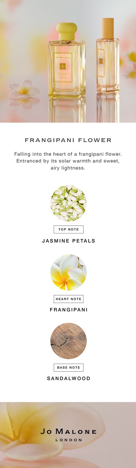 Frangipani Perfume, Essential Oil Perfumes Recipes, Frangipani Flower, Flower Perfume, Perfume Recipes, Perfume Scents, Essential Oil Perfume, Oil Blends, Jo Malone