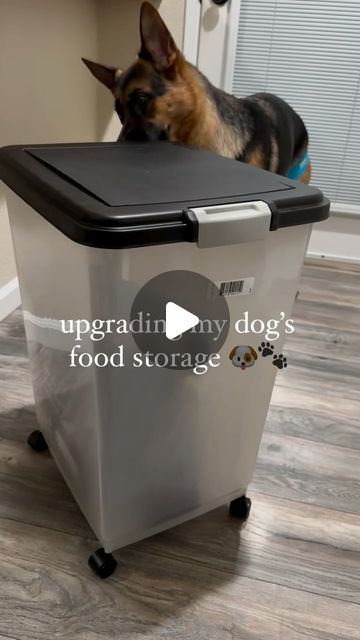 2,684 likes, 58 comments - sweetlunagsd on October 18, 2024: "Upgraded to the @simplehuman pet food storage container to keep Luna’s @openfarmpet kibble fresh… let’s just say I’m OBSSESSED!! 😍

Why we love it:

🤍 It has an airtight seal to maintain freshness 
🐾 The removable bucket makes cleaning between bags easy. Plus it’s food safe and BPA-free. 
🤍 It comes with a magnetic food scoop for added convenience.
🐾 It has a modern and sleek design, which fits perfect into our home. 

*Not spons Garage Dog Food Storage, Diy Dog Food Storage Container, Pet Food Storage Ideas, Dog Food Storage Ideas, Dog Food Storage Diy, Food Storage Cabinet, Dog Bedroom, False Bottom, Pet Food Storage Container