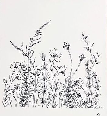 Wildflower Outline Drawing, Wild Flowers Line Drawing, Wild Flower Art Drawings, Wild Flower Line Art, Wild Flower Sketches Simple, Flowerbed Drawing, Wildflower Tattoo Stencil, Wildflower Sketch Drawings, Wild Flower Drawing Simple