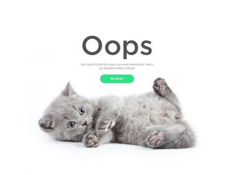 Daily UI #008 - 404 Page Cat Website, Cat App, 404 Pages, Daily Ui, Id Design, Mobile Ui Design, Webpage Design, Publication Design, Bad Design