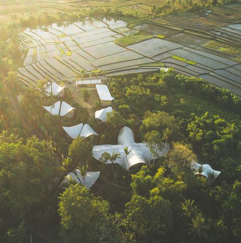 Bamboo Village, Bamboo Roof, Earth Projects, Hotel Exterior, Bamboo Architecture, Sustainable Technology, Eco Architecture, Rammed Earth, Small Waterfall