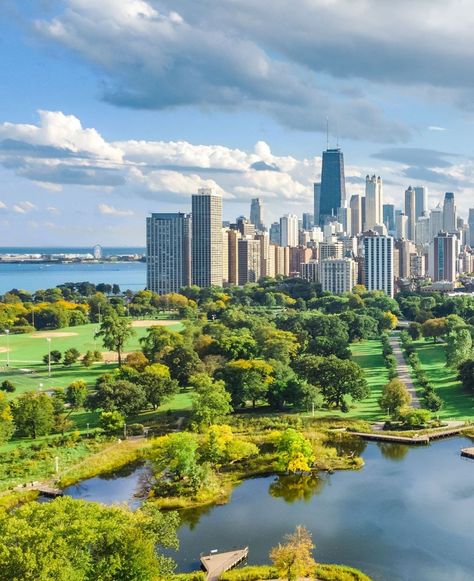 Aerial view of Chicago skyline from Lincoln Park, Illinois, USA Lincoln Park Chicago, Chicago Skyline, Lincoln Park, Travel Outdoors, City Living, Aerial View, Lincoln, Illinois, Chicago