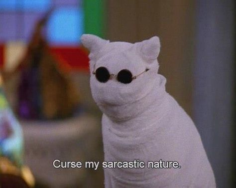 ☼ pinterest: dorihavenss ☼ vsco: dorihavens Salem Saberhagen, Salem Cat, Crazy Funny, Memes Humor, Intj, Empath, Movie Quotes, Spirit Animal, Reaction Pictures