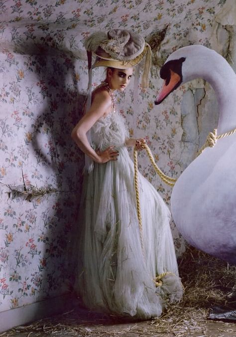 Odd Photography, Female Photoshoot, Tim Walker Photography, The Snow Queen, Tim Walker, High Fashion Photography, Richard Avedon, White Swan, Vogue Uk