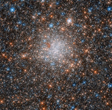 Hubble Spies Glittering Star Cluster in Nearby Galaxy Follow @GalaxyCase if you love Image of the day by NASA #imageoftheday Environment Photography, Globular Cluster, Telescope Images, Star Clusters, Astronomy Pictures, Hubble Telescope, Hubble Images, Stars In The Sky, Star Cluster