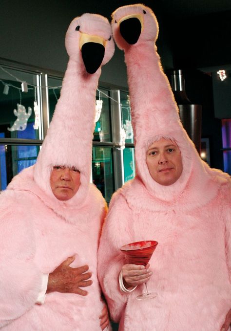 There will never be enough pictures of this scene. Never. Alan Shore, Flamingo Photos, Denny Crane, James Spader Young, Boston Legal, James Spader, William Shatner, Halloween This Year, The Girlfriends