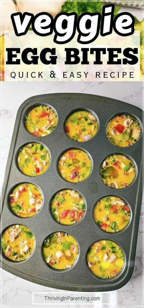 Looking for an easy and healthy breakfast recipe? Try these baked veggie egg bites made in mini muffin tins packed with nutrients that fit your diet! This veggie egg bites muffin tins recipe is perfect for those looking for quick and easy breakfast or even low carb snacks. The best part? You can make a big batch of this homemade veggie egg bites recipe and store in the freezer for later, making it a convenient option for those busy mornings, perfect for busy moms. Easy recipes for busy moms. Healthy Eggs Bites, Egg Bites Muffin Tins Recipe, Egg Bites With Veggies, Veggie Egg Bites Muffin Tins, Egg Bites Veggie, Easy Big Batch Meals, Egg Muffin Bites, Egg Bites No Cottage Cheese, Easy Egg Bites Muffin Tins