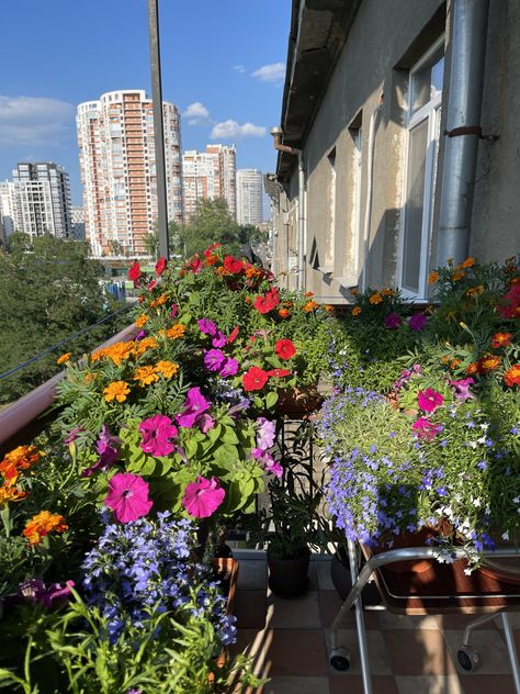 Balcony Flowers Apartment, Friends Balcony, Balcony Landscaping, Diy Garden Trellis, Elegant Living Room Decor, Balcony Flowers, Tall Flowers, Wildflower Garden, Beautiful Flowers Garden