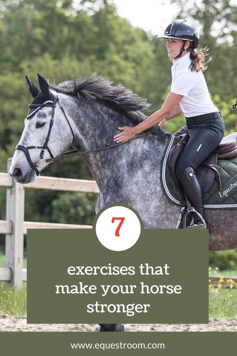 Horse Jumping Exercises, Dressage Exercises, Training Horses, Trail Riding Horses, Fit And Strong, Horse Training Exercises, Horseback Riding Tips, Dressage Training, Horse Exercises