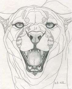 Puma Tattoo on Pinterest | Pumas, Panthers and Panther Tattoos Tier Tattoo, Drawing Realistic, Pencil Portraits, Lion Drawing, Big Cats Art, Drawing Faces, Graphite Pencils, Animal Sketches, Pencil Portrait