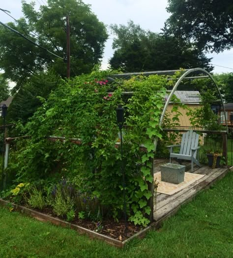 Re-purposed trampoline frame makes a beautiful arbor for wisteria to cover.  DILL-THEBEAU INTERIOR DESIGN Trampoline Ideas, Old Trampoline, Backyard Accessories, Garden Archway, Backyard Trampoline, Garden Vines, Have Inspiration, Garden Trellis, Garden Structures