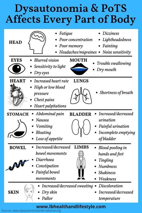 Autonomic Nervous System Dysfunction, Elhers Danlos Syndrome, Ehlers Danlos Syndrome Awareness, Dysautonomia Awareness, Dysautonomia Pots, Chronic Back Pain, Increase Heart Rate, Autonomic Nervous System, Ehlers Danlos Syndrome