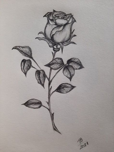 draw rose Realistic Rose Drawing, Realistic Flower Drawing, Rose Drawing Tattoo, Rose Sketch, Chicano Drawings, Art Sketches Doodles, Trending Ideas, Flower Art Drawing, Rose Drawing