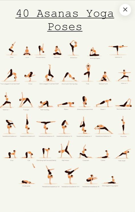 Plan Workout Routines, Asanas Yoga Poses, Chest Yoga, Intermediate Yoga Poses, Yoga Poses Chart, Flexibility Exercises, Plan Workout, Yoga Ashtanga, Yoga Routine For Beginners