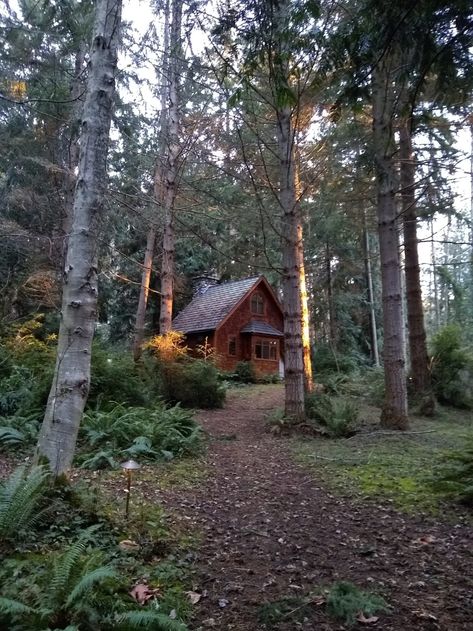 Writers in Residence — Hedgebrook.org Overstuffed Armchair, Small Half Bathroom, Sleeping Loft, Women Writing, Air Travel, Cabins In The Woods, What Can I Do, Wood Stove, Hand Built