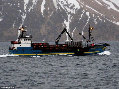 Tuna Boat, Kodiak Alaska, Sturgis South Dakota, Swamp People, Movie Search, Sport Fishing Boats, Deadliest Catch, Shrimp Boat, Fishing Vessel