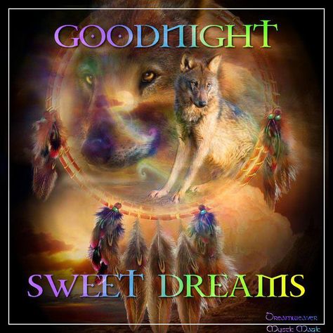 Goodnight...Sweet Dreams Goodnight Sweet Dreams, Moon Lighting, Good Night Cat, Beautiful Good Night Quotes, Native American Wolf, Good Night Funny, American Quotes, Quotes Music, Native American Wisdom