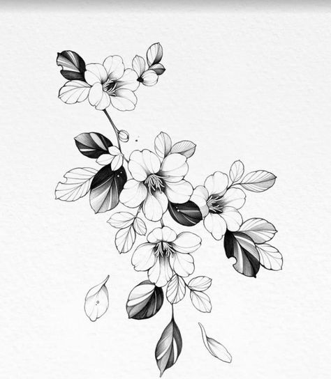 Tattoo Design Flower, Hawthorne Flower, Peony Flower Tattoos, Flor Tattoo, Flower Tattoo Drawings, Tattoo Background, Beautiful Flower Tattoos, Tattoo Zeichnungen, Muster Tattoos