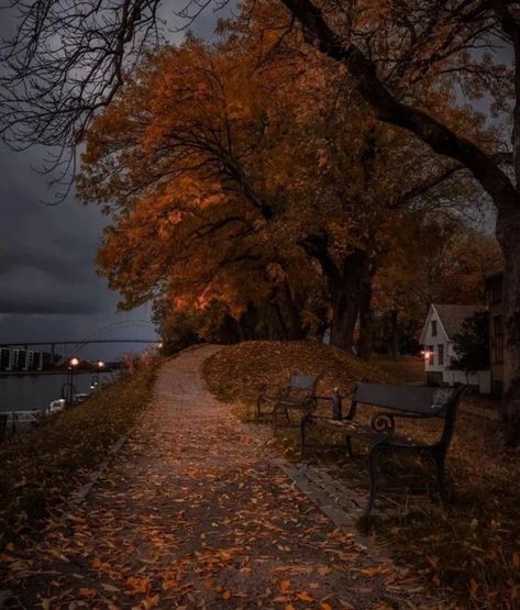 Lucien Vanserra, Park Benches, Court Of Thorns And Roses, Dark Autumn, Pretty Landscapes, Fall Inspo, Season Of The Witch, Autumn Scenery, Seasons Of The Year