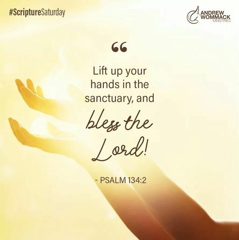 “Lift up your hands in the sanctuary, and bless the Lord” (Psalm 134:2) (Andrew Wommack). #KWMinistries Psalm 134, Worshiping God, Andrew Wommack, Bless The Lord, Verse Quotes, Inspirational Pictures, Bible Verses Quotes, Good Advice, The Lord