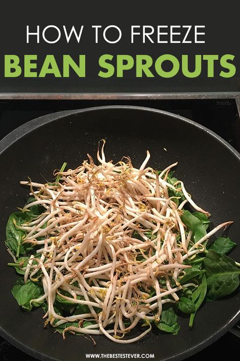 How To Store Bean Sprouts, How To Cook Bean Sprouts, Recipes Using Bean Sprouts, What To Do With Bean Sprouts, Recipes For Bean Sprouts, Recipes With Bean Sprouts, Bean Sprouts Recipes, Freeze Veggies, Sprouting Beans