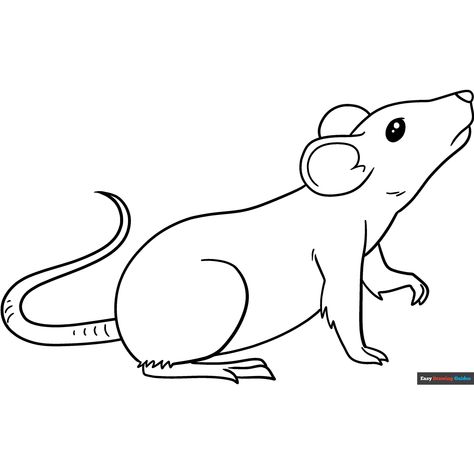 Free Rat Coloring Page for Kids Easy Drawing Guides, Free Printable Coloring Sheets, Drawing Guides, Bunny Coloring Pages, Kids Print, Alphabet Flashcards, Printable Coloring Sheets, Drawing Tutorial Easy, Coloring Tutorial