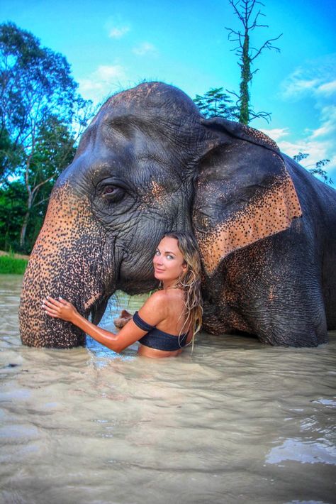 How to Find Ethical Elephant Sanctuaries in Chiang Mai - My Life's a Movie Thailand Pics, Thailand Bucket List, Thailand Places, Chiang Mai Travel, Thailand Destinations, Thailand Travel Destinations, Thailand Photography, Thailand Elephants, Thailand Vacation