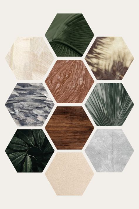 Customizable aesthetic hexagonal photo collage | premium image by rawpixel.com / dunno design lab Collage Layout, Simple Collage, Awesome Designs, Collage Template, Design Lab, Layout Ideas, Wood Texture, Mockup Design, Photo Collage