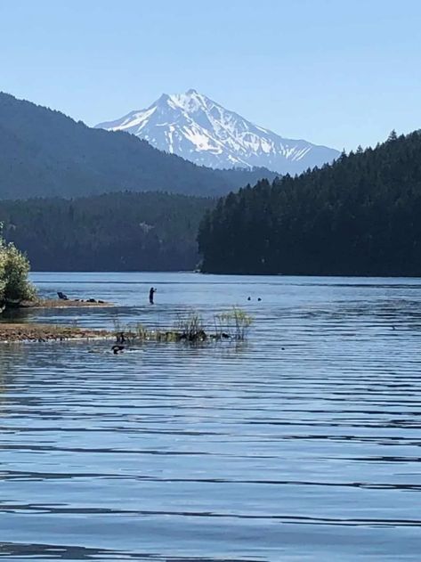 Fishing in Marion County, Oregon – Best Fishing in America Ocean Fishing Aesthetic, Oregon Fishing, Seaside Oregon Photography, Fishing At The Lake, Steelhead Fishing, Oregon Coast Scenic Railroad, Channel Catfish, Cutthroat Trout, Rainbow Trout Fishing