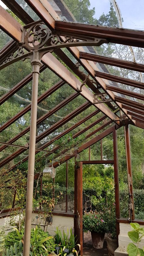 Timber Frame Greenhouse, Sunroom Windows, Grow House, Shed Of The Year, Studio Shed, Earthship Home, Greenhouse Shed, Build A Greenhouse, Wooden Greenhouses