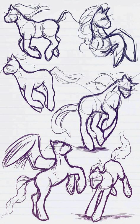 Drawing anatomy Mlp Drawing, Mlp Bases, Pegasus Unicorn, Mlp Oc, Pose References, Horse Drawings, Creature Drawings, My Little Pony Drawing, Pony Drawing