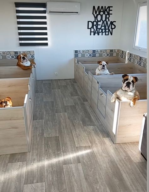 At Home Dog Daycare, Small Dog Kennel Ideas Indoor, Dog Kennel Room Ideas, Pet Hotel Ideas, Indoor Kennels For Dogs, Dog Kennel Ideas Indoor, Indoor Dog Kennel Ideas, Dog Room In Garage, Pet Grooming Salon Ideas Design