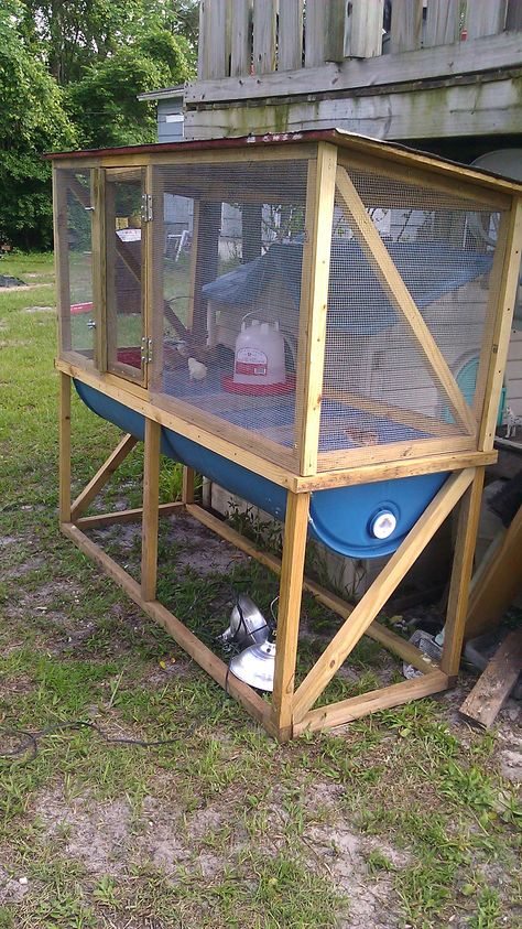 Chicken Fertilizer, Diy Rabbit Hutch, Quail Coop, Chicken Brooder, Brain Storming, Raising Quail, 5 Gallon Buckets, Chicken Manure, Backyard Chicken Coop Plans