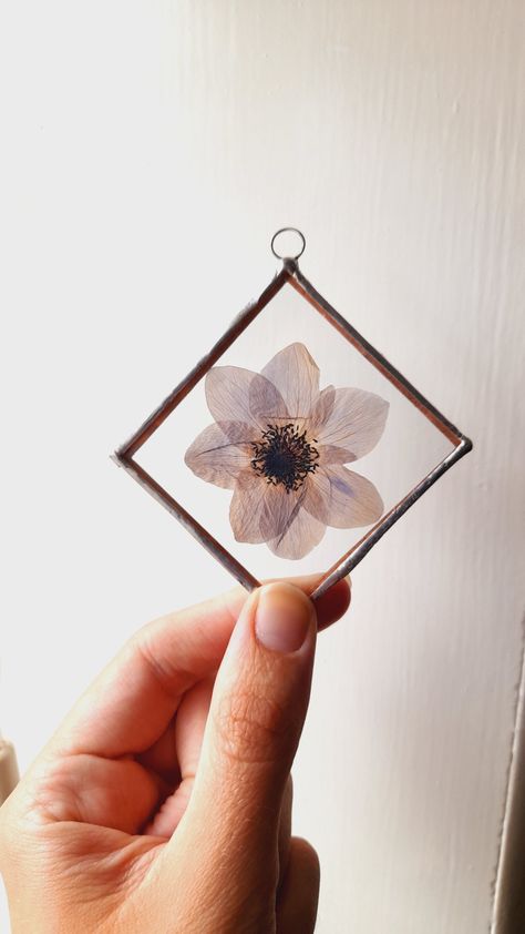 Pressed Flowers In Glass Frames, Pressed Flower Stained Glass Diy, Stained Glass Pressed Flowers, Framed Flower Art, Pressed Flower Frame, Art Frames, 2024 Ideas, Anemone Flower, Stained Glass Suncatchers