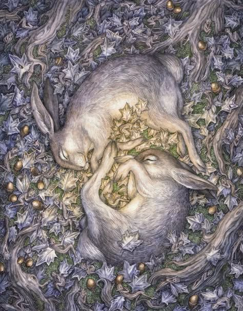 Adam Oehlers, 동화 삽화, Fairytale Art, Arte Fantasy, Dreamy Art, Limited Edition Prints, Rabbits, Pretty Things, Animal Art