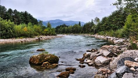 1,000+ Free Mountain Stream & Stream Images - Pixabay Nature River, Mountain Stream, Rain Water Collection, River Stones, Nature Sounds, Water Purification, Off Grid Living, Landscape Nature, The Wilderness