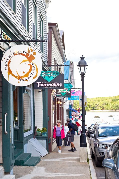 Curated Travel: 10 Must Do's In Bar Harbor Maine: Wild Blueberry Barren Tour — OhCarlene Visiting Maine, Canada Cruise, Maine Road Trip, Travel Maine, Maine Trip, New England Trip, England Road Trip, New England Road Trip, East Coast Travel