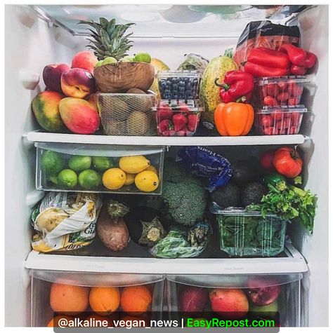 Miguel Martinek on Instagram: “Repost By @alkaline_vegan_news: "Stick to predominantly raw fruits and vegetables for optimal health 😍 This is not my fridge, I know there…” Stocked Fridge, Healthy Fridge, Fridge Organization, Fat Burning Drinks, Delicious Healthy Recipes, Meals For The Week, Fruits And Veggies, Fruits And Vegetables, Nutrition Facts