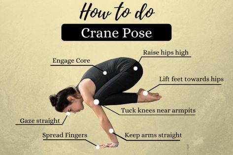 Crane Pose (Bakasana): How to Do, Benefits and Precautions - Fitsri Crane Pose Yoga, Arm Balance Yoga Poses, Yoga Arm Balance, Crane Pose, Arm Balance, Sanskrit Names, Crow Pose, Yoga For Balance, Arm Balances