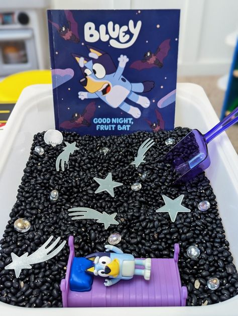 Bluey Theme Sensory Bin, Bluey Sensory Bin, Fiesta Bluey, Bluey Birthday, Fruit Bat, Teaching Toddlers, Sensory Table, Nocturnal Animals, Sensory Bin