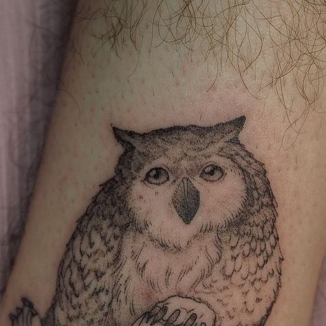 Owlbear Bg3, Owlbear Cub, 3 Tattoo, Baldur's Gate 3, Gaming Tattoo, Baldur's Gate, Bear Cubs, Thank You So Much, Gate