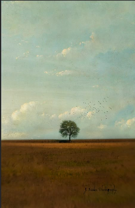 Jamie Heiden, Good Weekend, Have A Good Weekend, Just Smile, Art Block, Oil Painting Landscape, Tree Painting, Creative Projects, Art Sketchbook