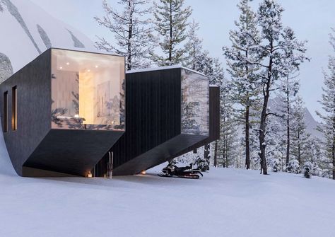 This secluded alpine home comes with three distinct pod-shaped living spaces Alpine Home, Glamping Cabin, Ski Cabin, Cabin In The Mountains, Norman Foster, Ski Lodge, Contemporary Minimalist, German Design, Zaha Hadid